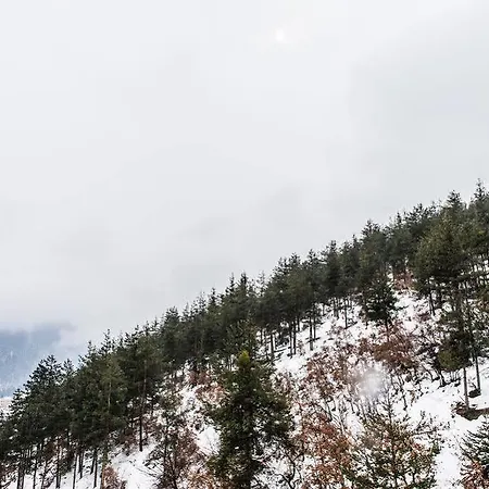 Szálloda Olymp Velingrad