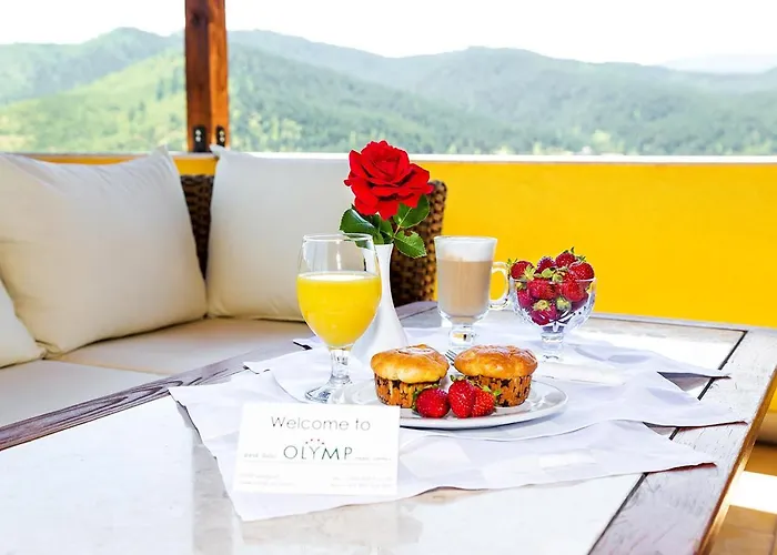 Olymp 4*